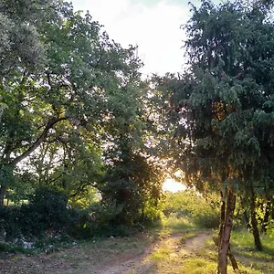 Attitudes Naturelles - D'hotes Avec Jardin Labastide-de-Virac